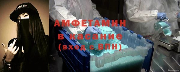 сатива Гусев