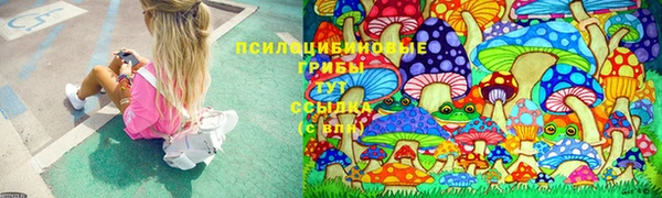 прущая мука Гусь-Хрустальный