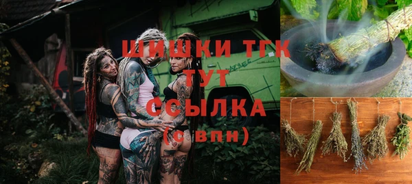 сатива Гусев